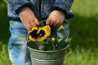 6 conseils pour initier les enfants au jardinage