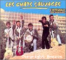 Chats sauvages avec Dick Rivers